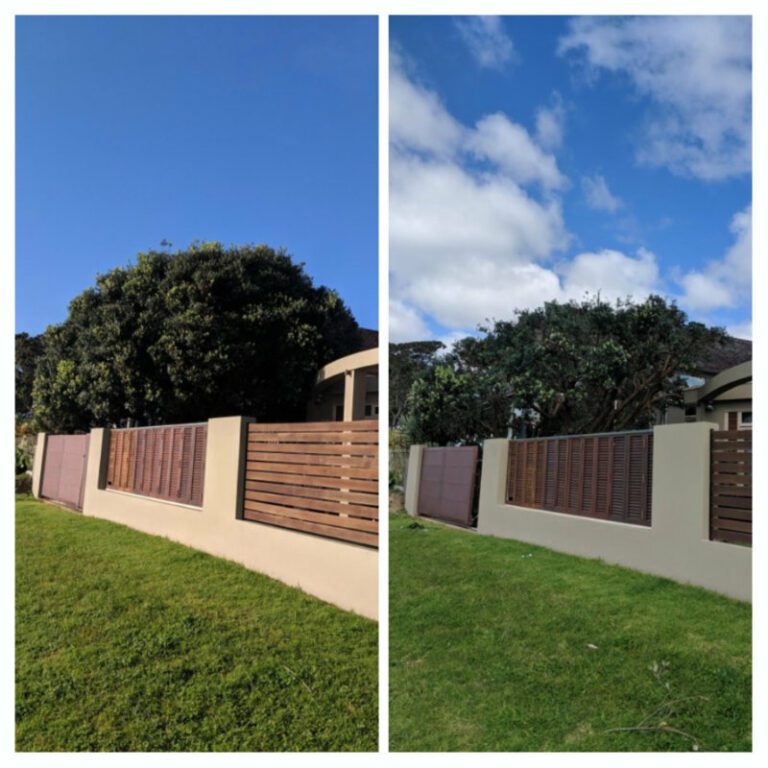 tree service before and after